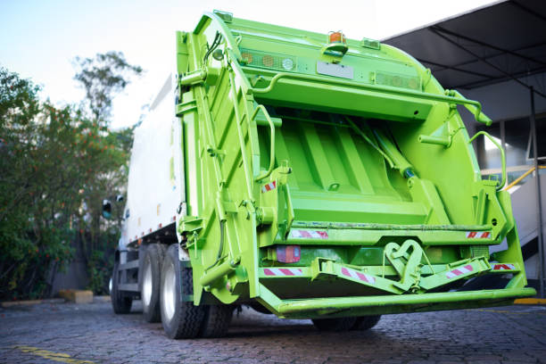 Yard Cleanup Services in Edmore, MI